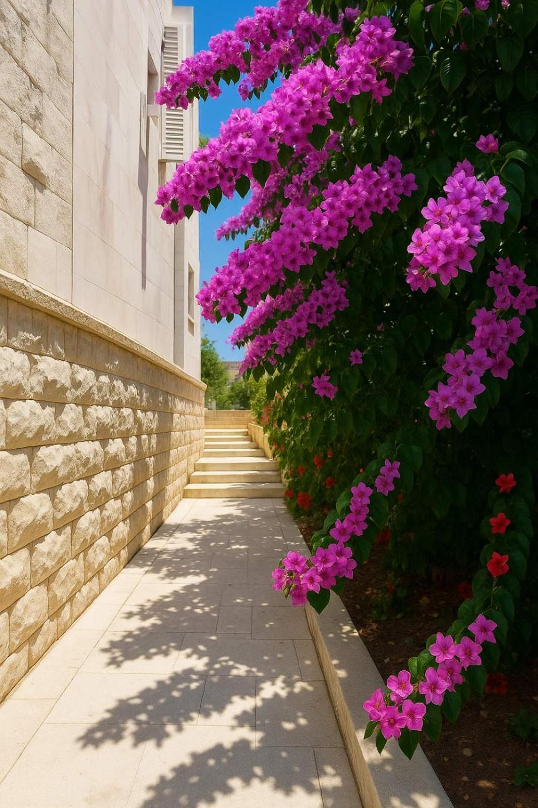 Apartments Villa Mirjana Budva Bagian luar foto